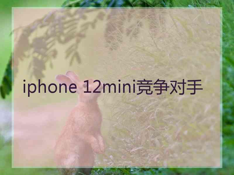 iphone 12mini竞争对手