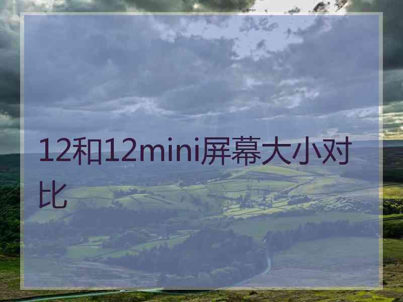 12和12mini屏幕大小对比