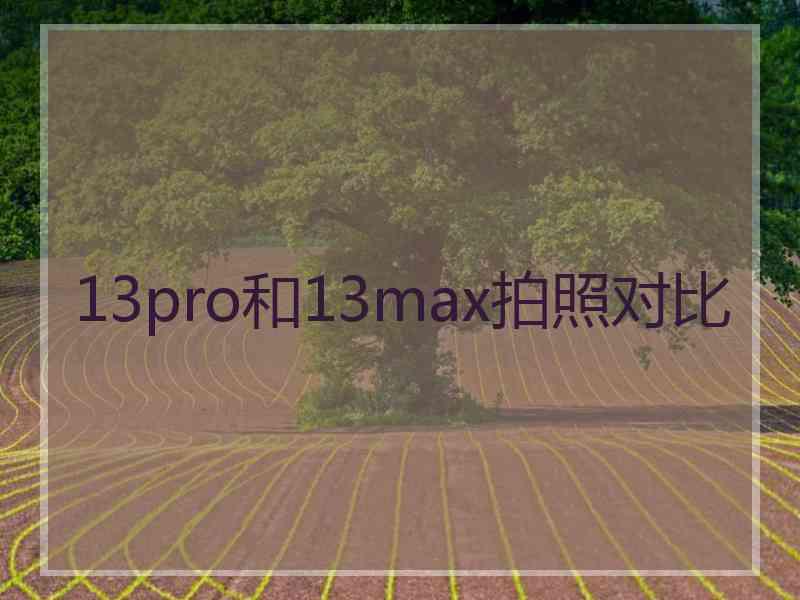 13pro和13max拍照对比