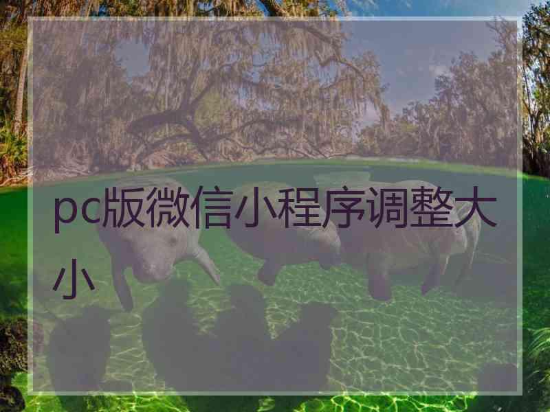 pc版微信小程序调整大小