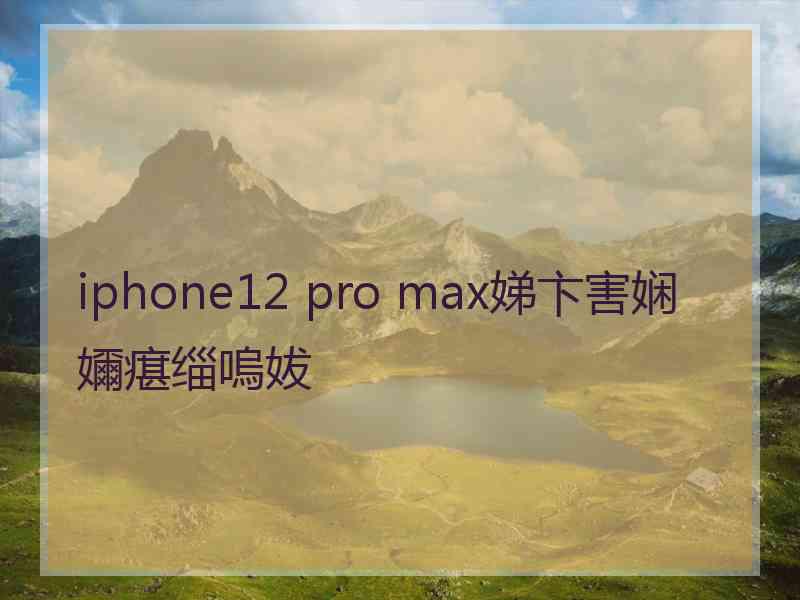 iphone12 pro max娣卞害娴嬭瘎缁嗚妭