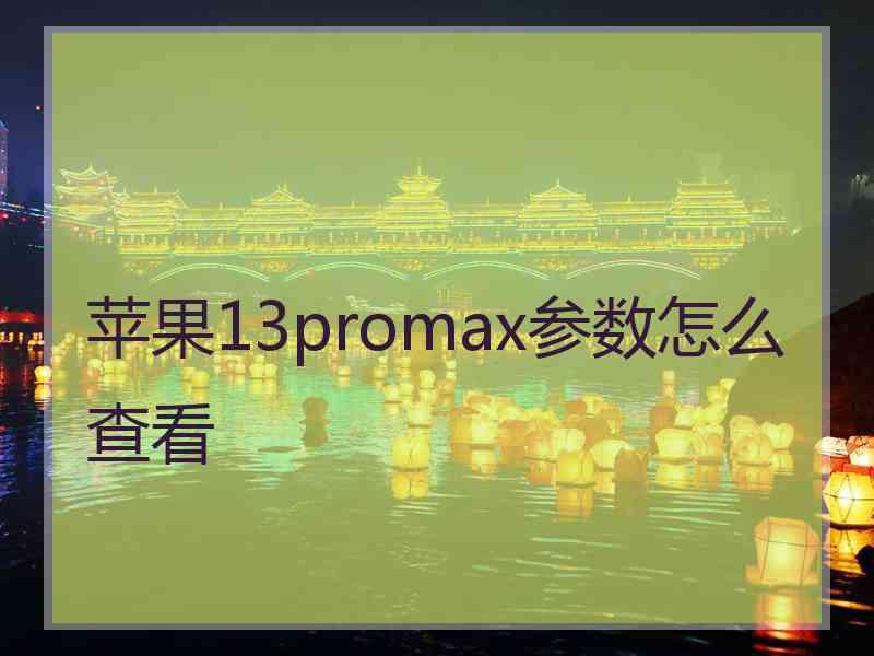 苹果13promax参数怎么查看