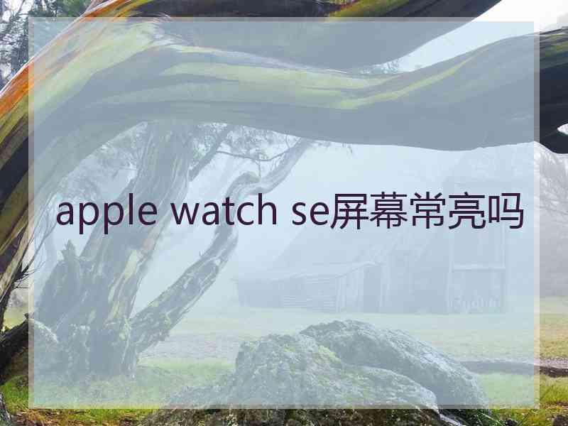 apple watch se屏幕常亮吗