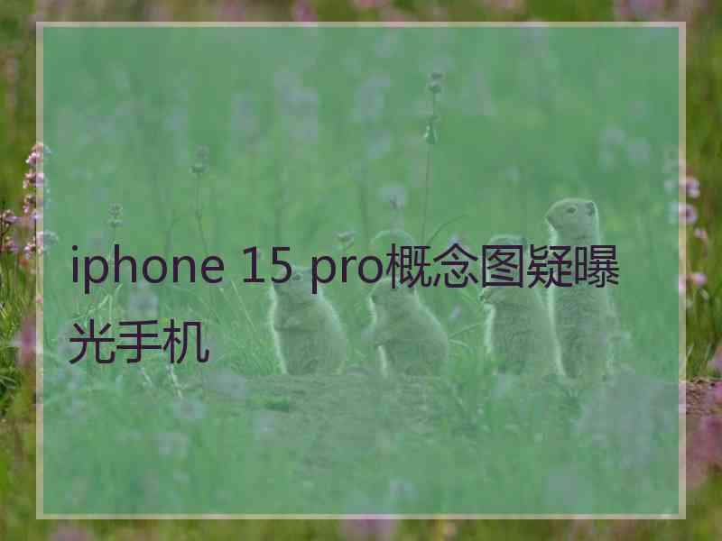 iphone 15 pro概念图疑曝光手机