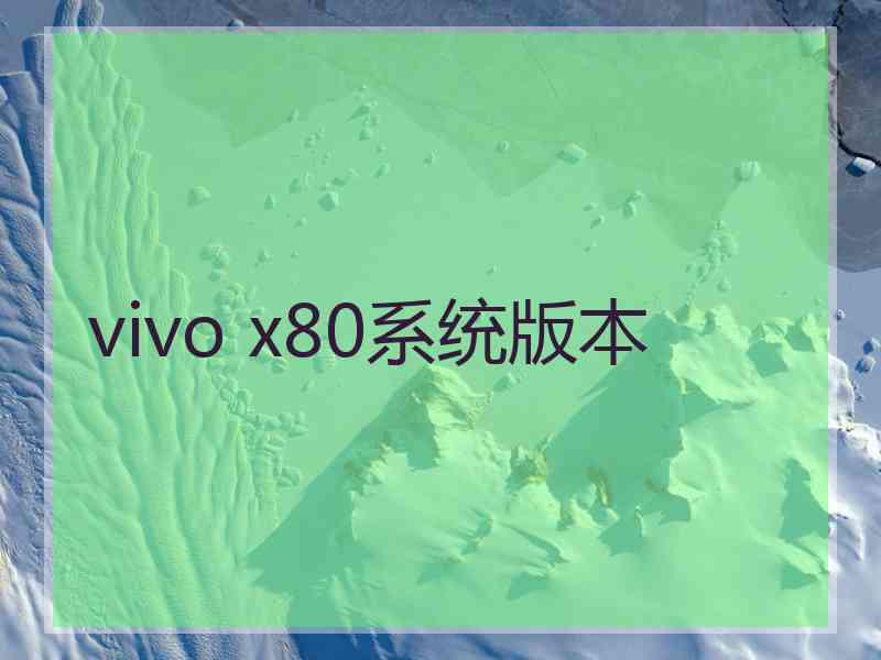 vivo x80系统版本
