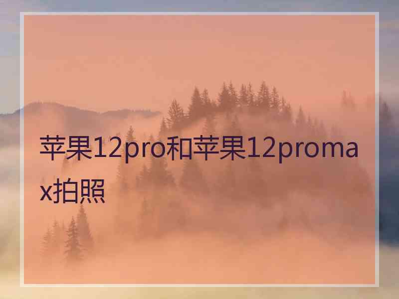 苹果12pro和苹果12promax拍照