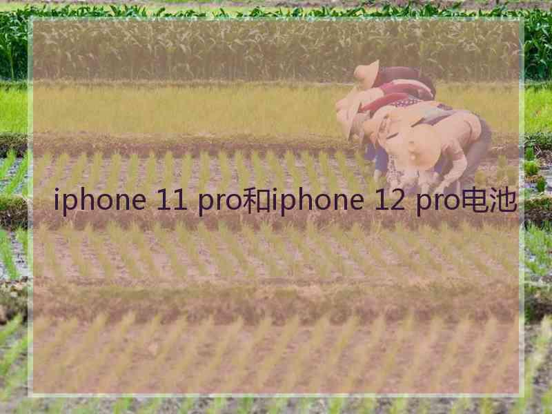 iphone 11 pro和iphone 12 pro电池