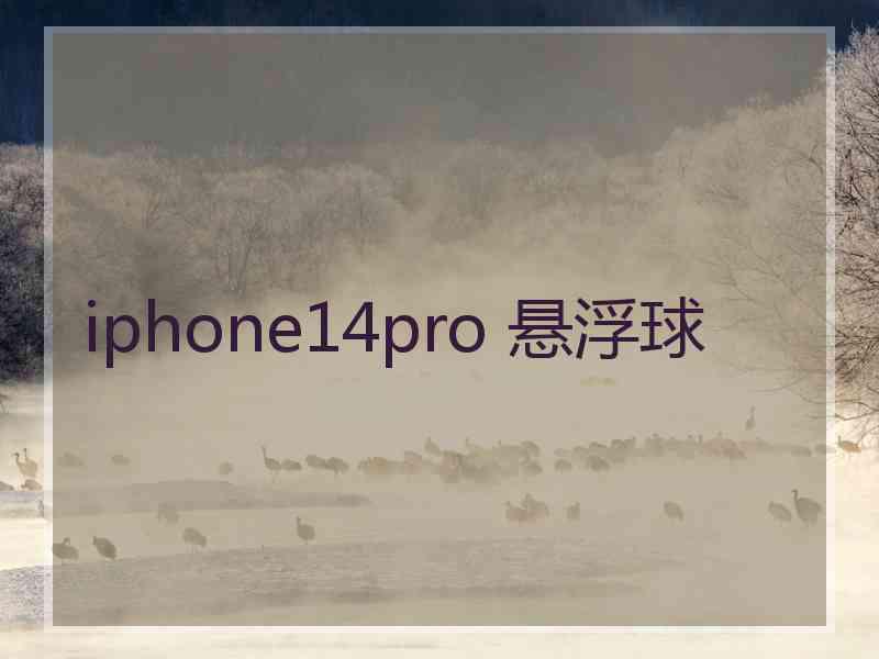 iphone14pro 悬浮球