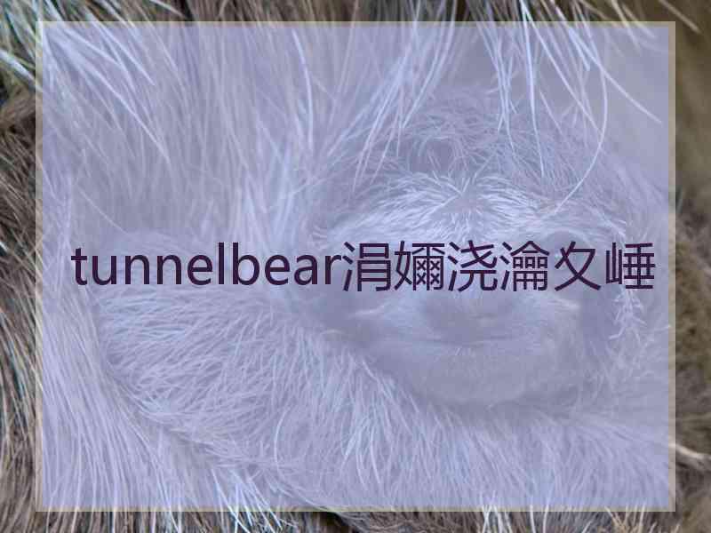 tunnelbear涓嬭浇瀹夊崜