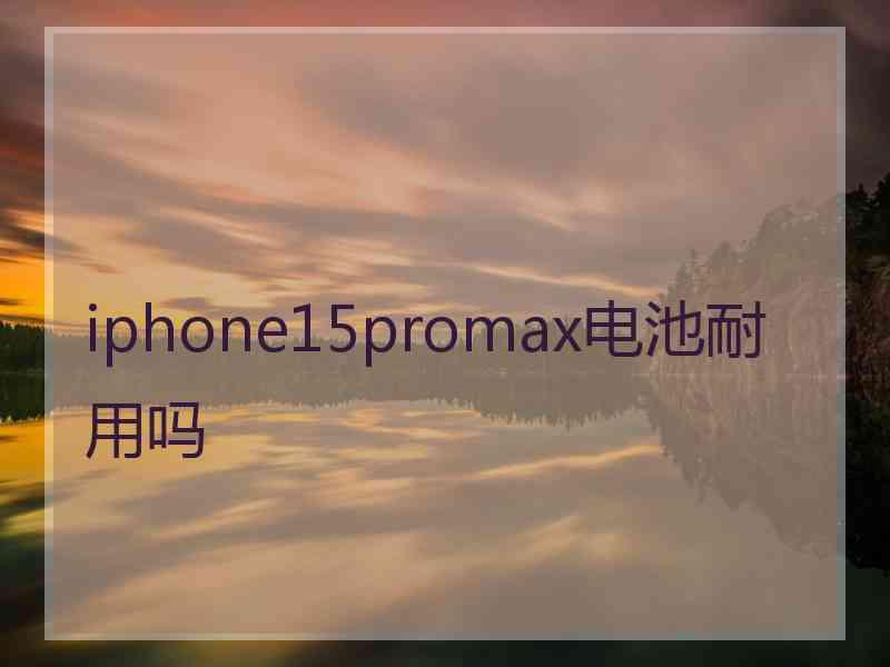 iphone15promax电池耐用吗