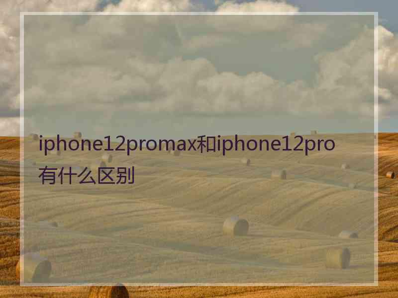 iphone12promax和iphone12pro有什么区别