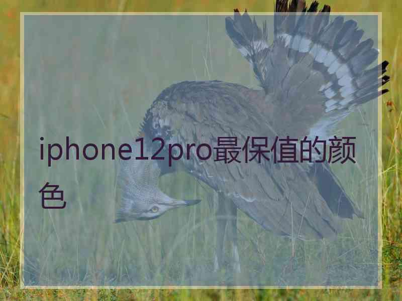 iphone12pro最保值的颜色