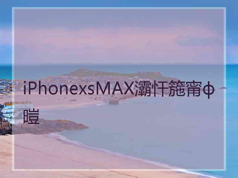 iPhonexsMAX灞忓箷甯ф暟