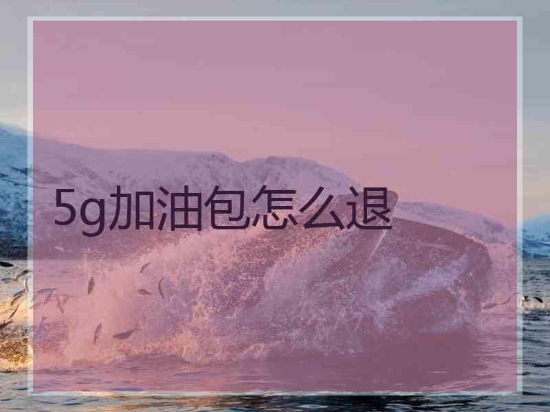 5g加油包怎么退