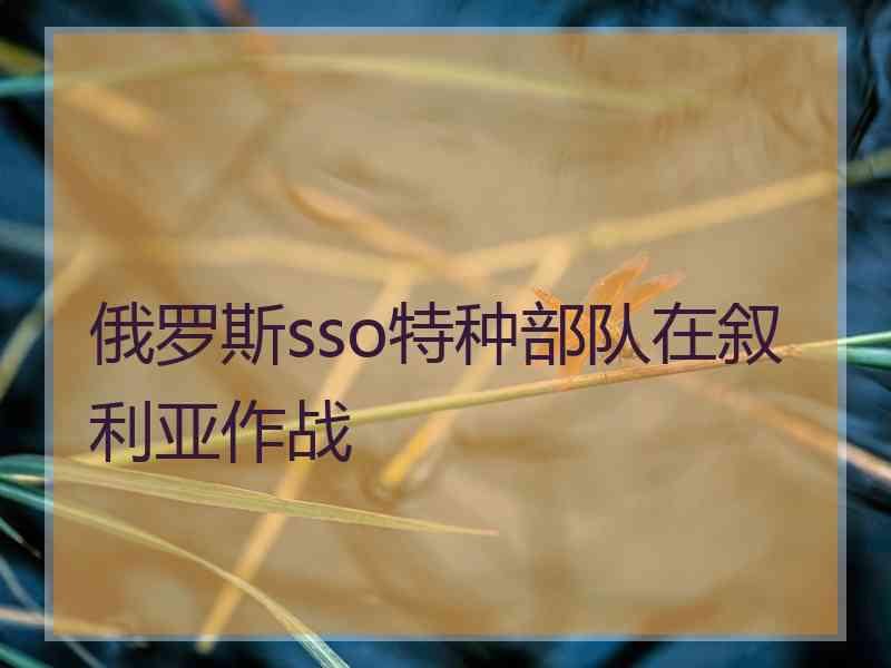 俄罗斯sso特种部队在叙利亚作战