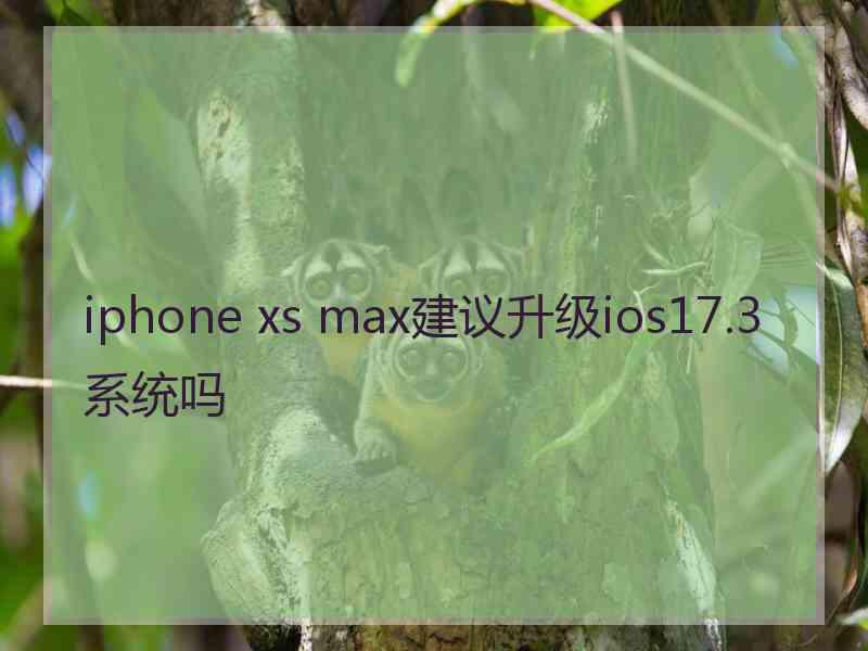 iphone xs max建议升级ios17.3系统吗