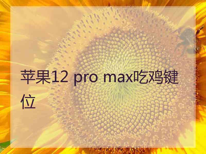 苹果12 pro max吃鸡键位