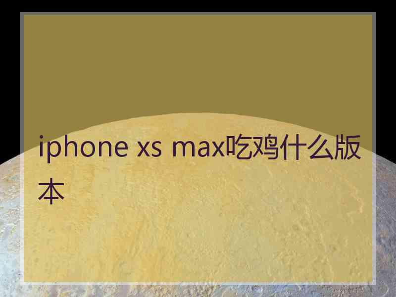 iphone xs max吃鸡什么版本