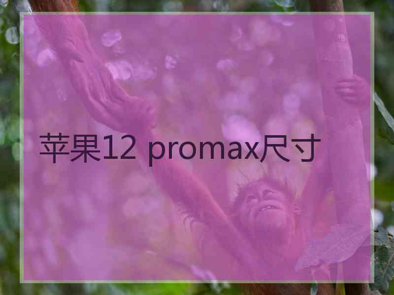 苹果12 promax尺寸