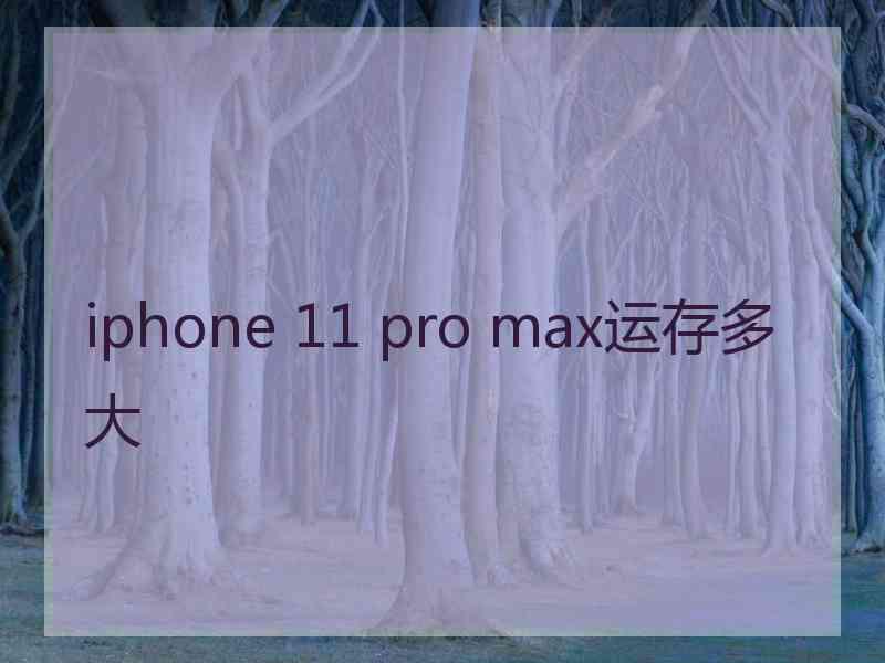 iphone 11 pro max运存多大