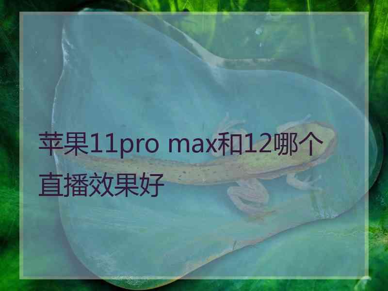 苹果11pro max和12哪个直播效果好