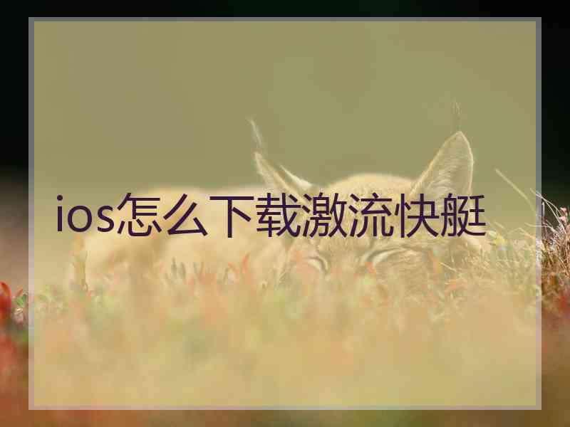 ios怎么下载激流快艇