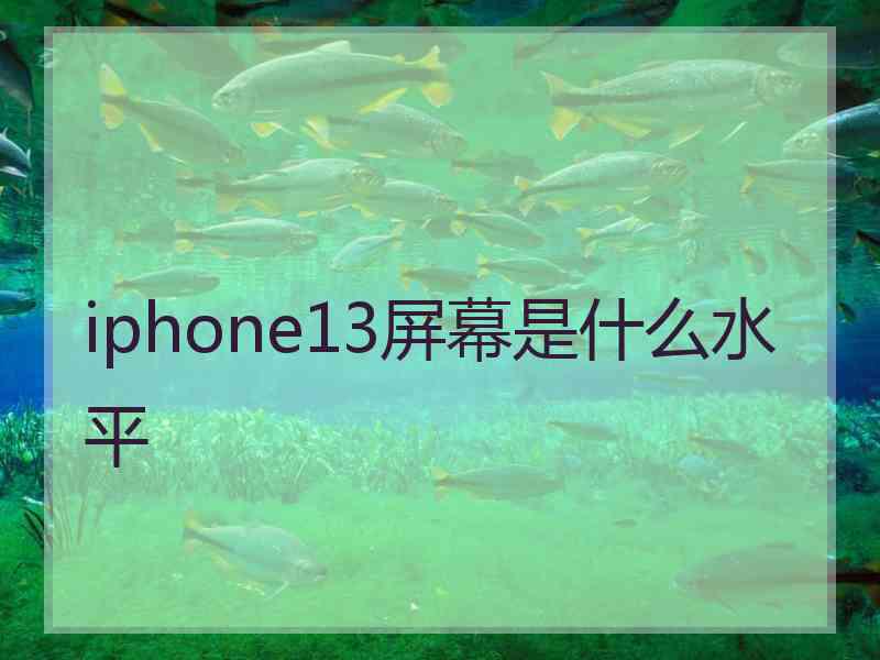 iphone13屏幕是什么水平