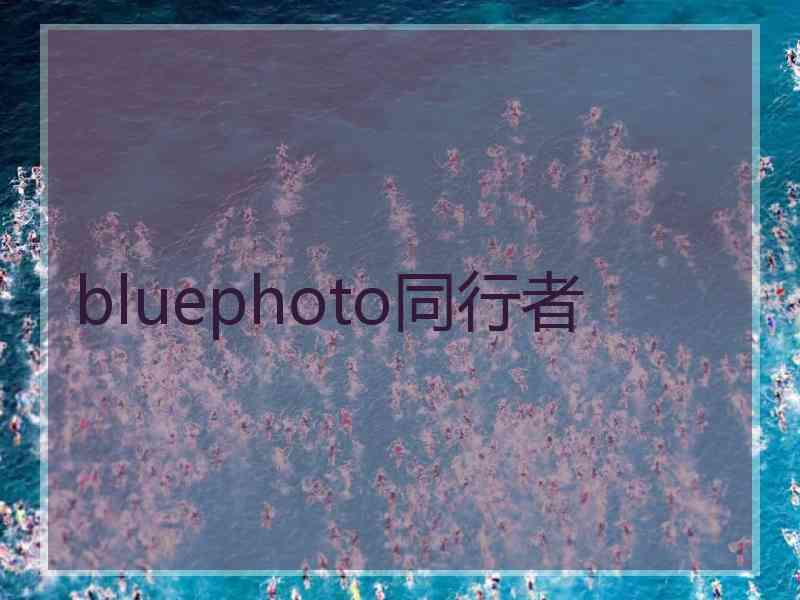 bluephoto同行者