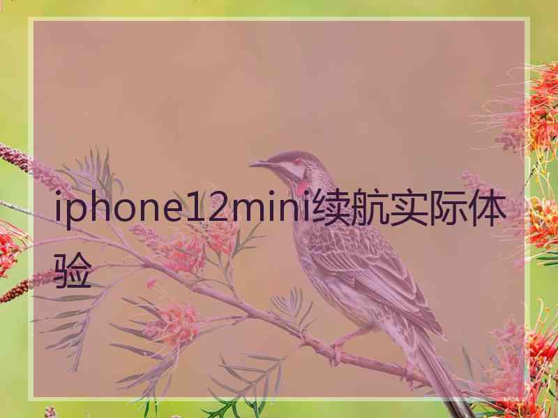 iphone12mini续航实际体验