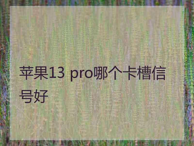 苹果13 pro哪个卡槽信号好