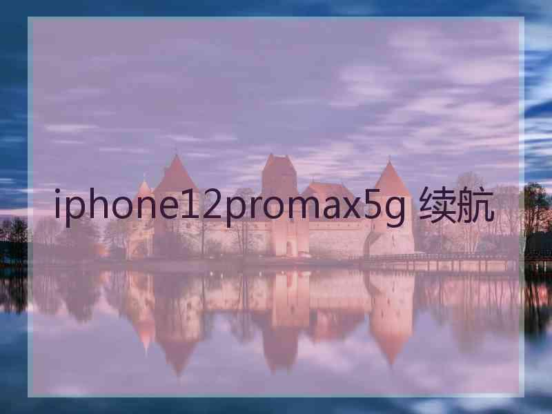 iphone12promax5g 续航