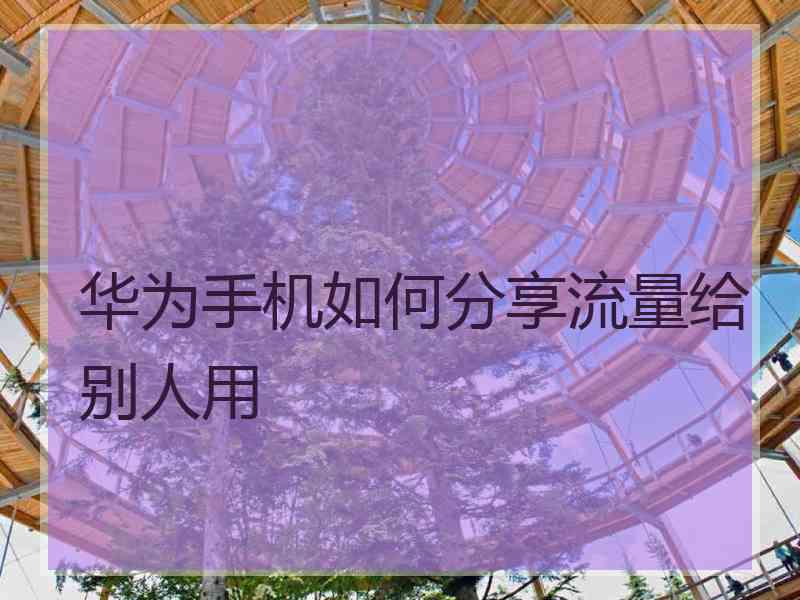 华为手机如何分享流量给别人用