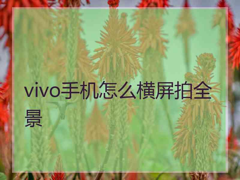 vivo手机怎么横屏拍全景