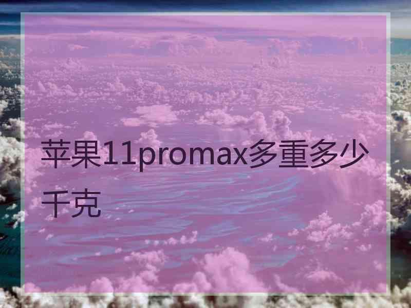 苹果11promax多重多少千克