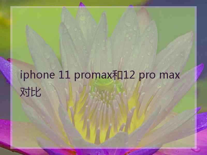 iphone 11 promax和12 pro max对比