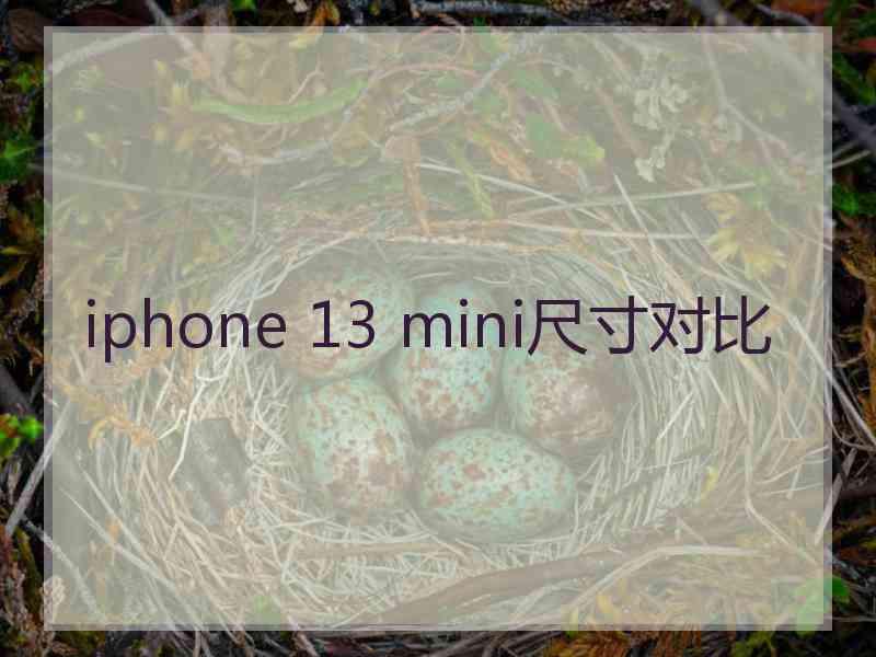 iphone 13 mini尺寸对比