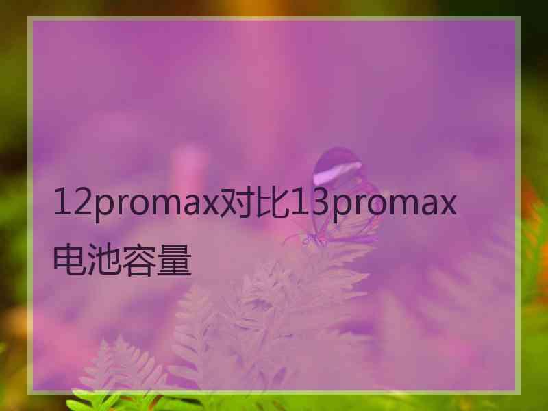 12promax对比13promax电池容量