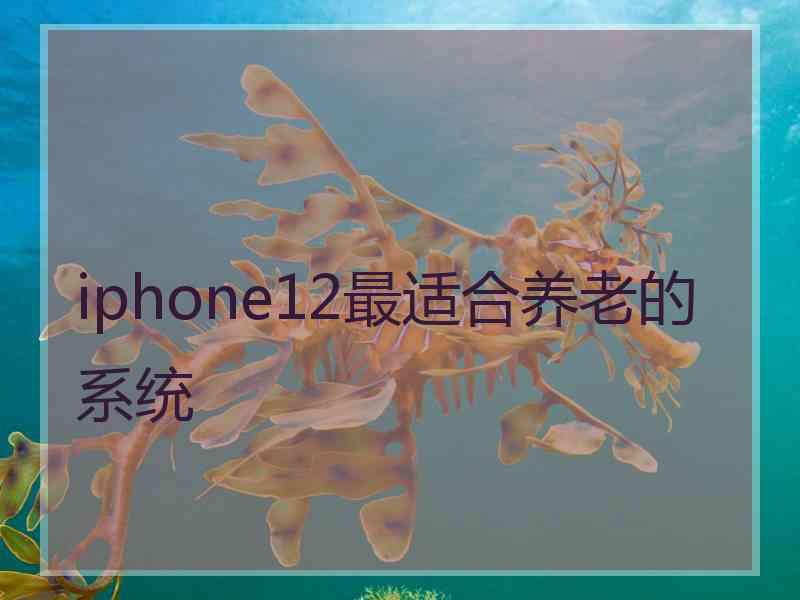 iphone12最适合养老的系统