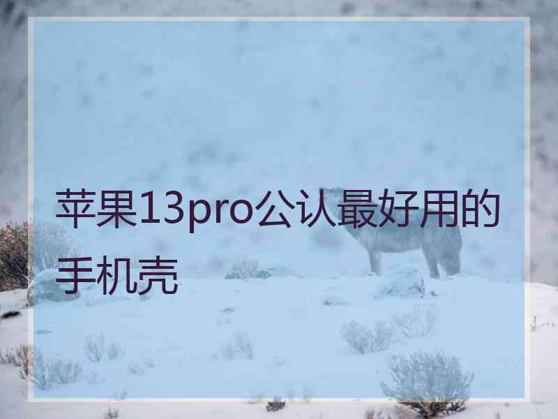 苹果13pro公认最好用的手机壳