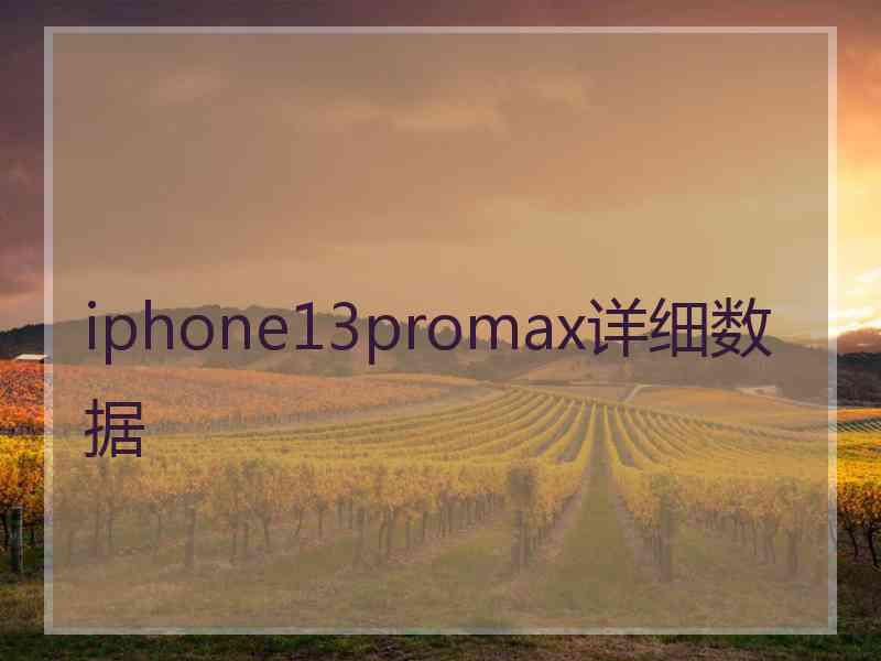 iphone13promax详细数据