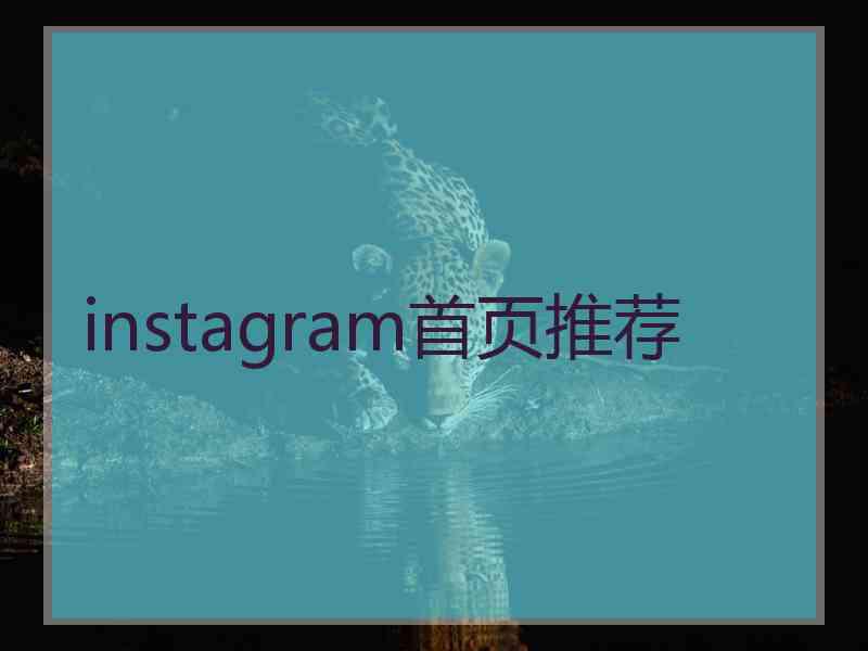 instagram首页推荐