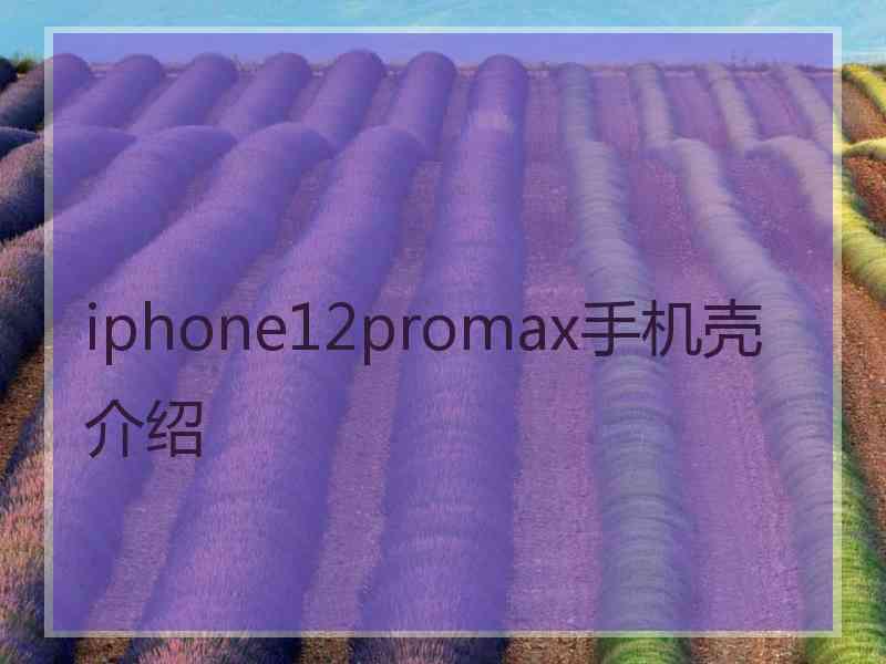 iphone12promax手机壳介绍