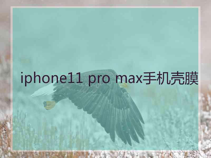 iphone11 pro max手机壳膜