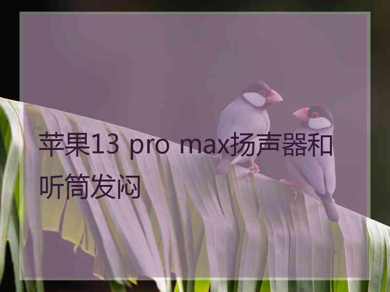 苹果13 pro max扬声器和听筒发闷