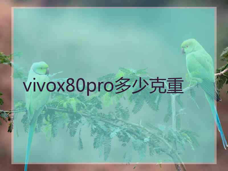 vivox80pro多少克重