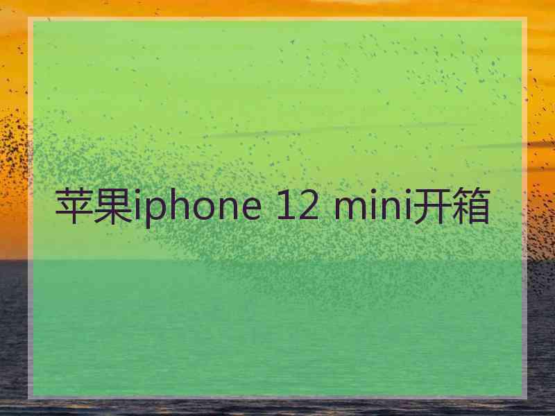 苹果iphone 12 mini开箱