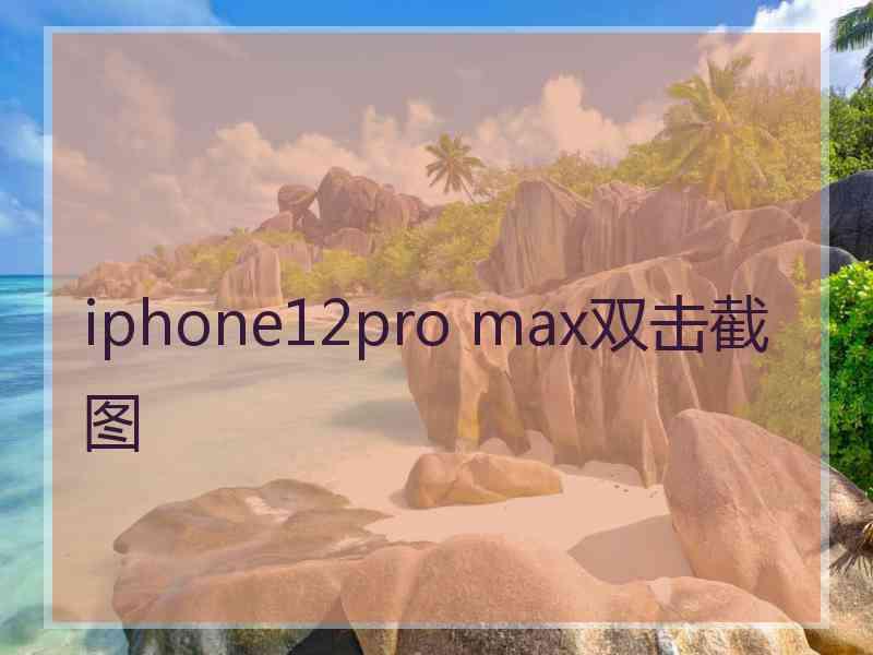 iphone12pro max双击截图