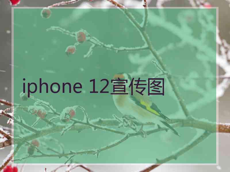 iphone 12宣传图