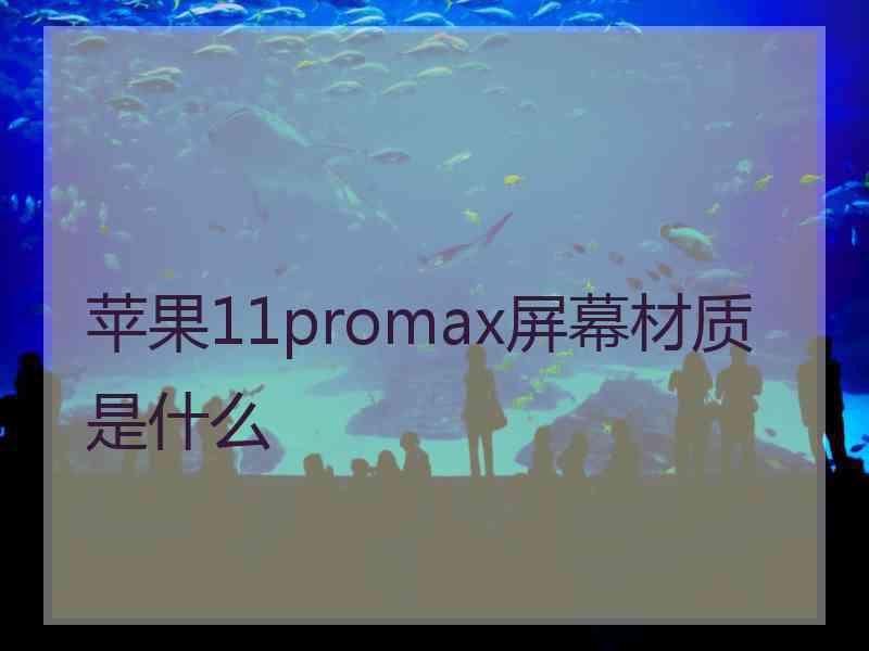 苹果11promax屏幕材质是什么