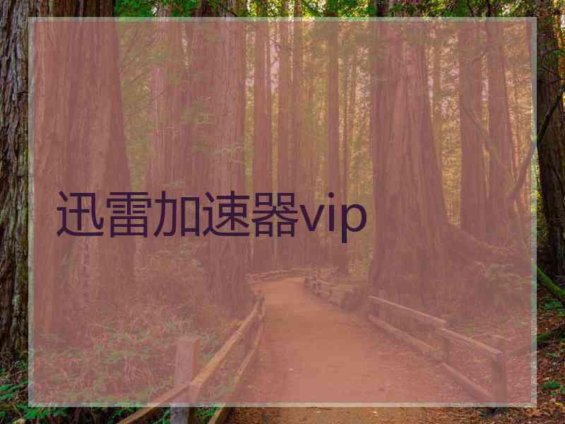 迅雷加速器vip